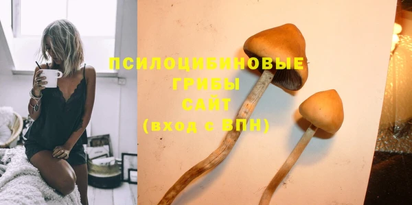 крисы Аркадак