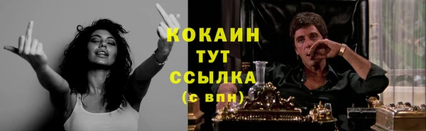 крисы Аркадак