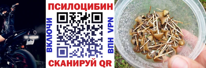 Псилоцибиновые грибы мухоморы  купить наркотик  Сясьстрой 