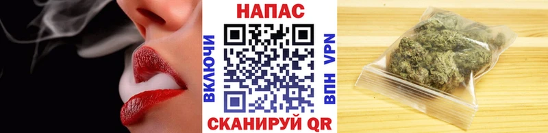 Бошки марихуана ГИДРОПОН  Сясьстрой 